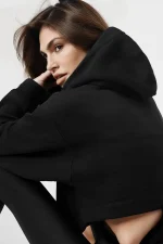 Alo Bae Hoodie Zoom Back