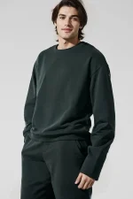 Alo Cropped Sweatshirt